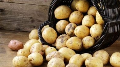 Фото - Как похудеть на картошке